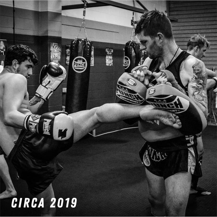 THAI PADS - AAA - CURVED - SOFT - PUNCH EQUIPMENT